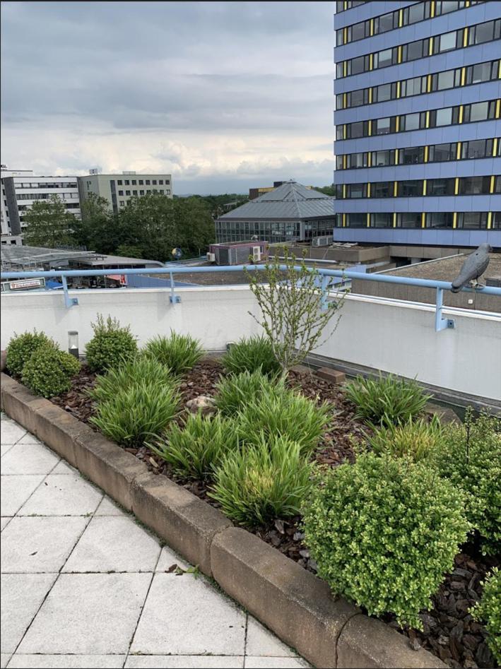לברקוסן Im Herzen Von Wiesdorf- Blick Auf Das Bayer-Kreuz -Appartement Mit 2 Schlafzimmern-Fuer 3 Personen -Zentral Gelegen - Friedrich Ebert Platz 5A , 4Te Etage - Dachterrasse Und Sauna - Kaution Pflicht - מראה חיצוני תמונה